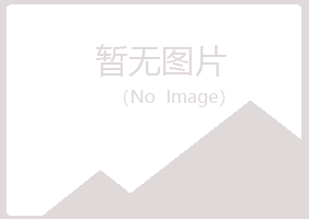 保山初夏能源有限公司